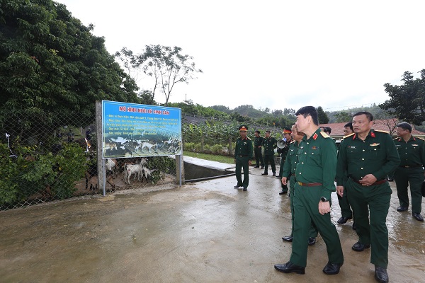 Tham quan mô hình nuôi dê sinh sản. 