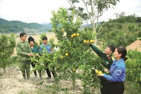 Khởi sắc nơi vùng biên Tây Bắc