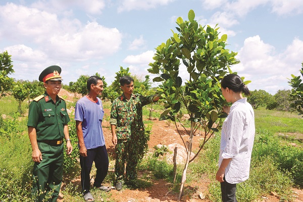 Hoàn thiện cơ chế, chính sách hoạt động của các đoàn kinh tế - quốc phòng