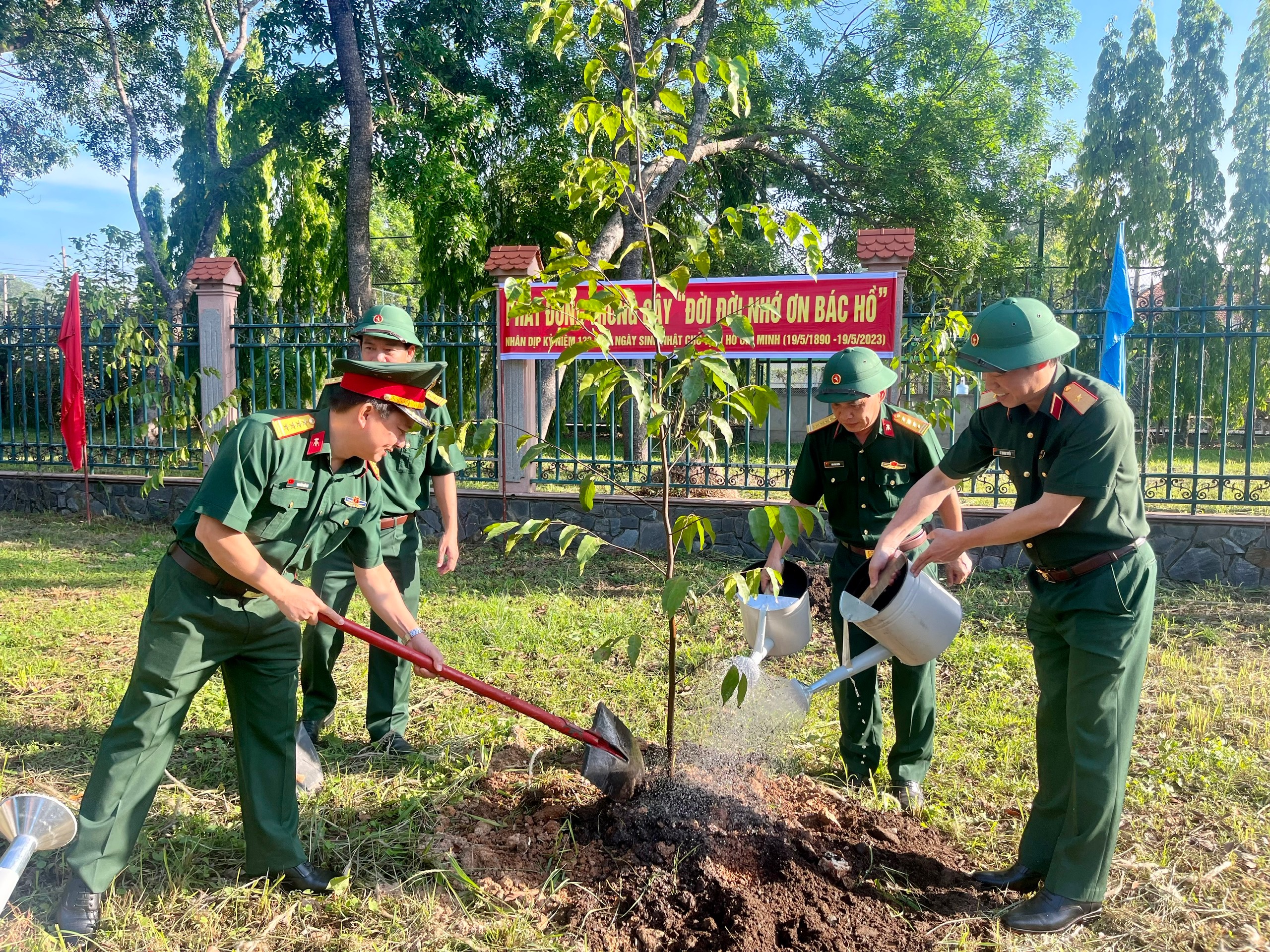 Kho K752: Trồng mới 2.000 cây sao đen